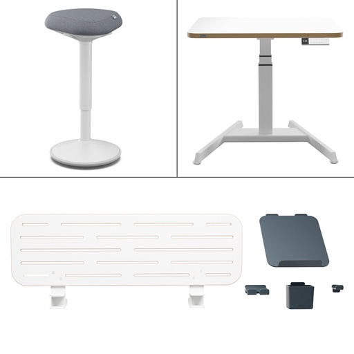 [1437398] Poste de travail à domicile Leitz set Pack 2