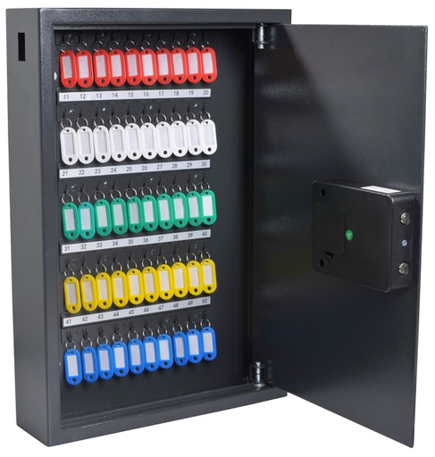 [1436390] Armoire à clés Pavo High Security Advanced 50 crochets 550x380x100mm