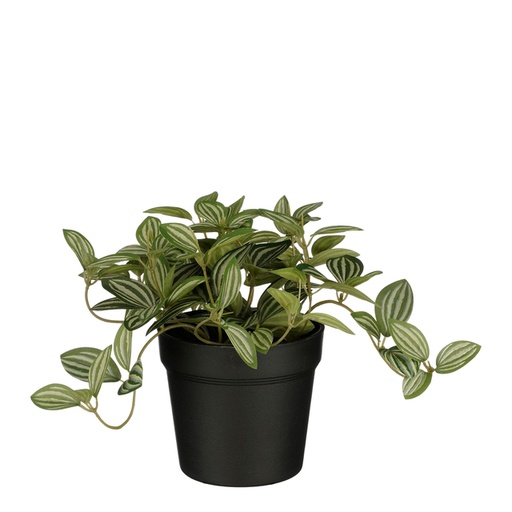 [1433007] Plante artificielle Mico Tradescantia Pot plastique 16x16cm