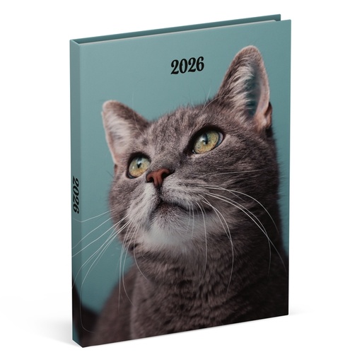 [1436920] Agenda 2026 Lannoo 110x150 My favourite friends 7 jours/2 pages cats