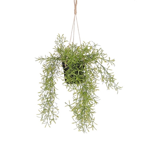 [1439295] Plante artificielle Mica Rhipsalis suspendue pot vert Ø9,5cm 40x20cm