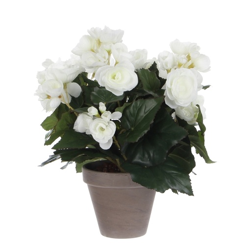 [1439305] Plante artificielle Mica Begonia blanc pot Stan gris D11,5cm Ø25cm 30cm