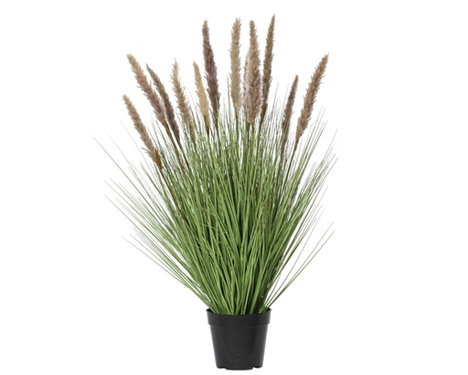 [1466253] Plante herbacée Everlands avec pampa brun 80cm pot PVC