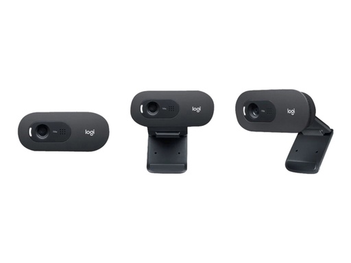 [1466416] Webcam Logitech C505e