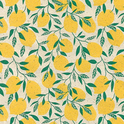[1467776] Rouleau pour appareil Little lemon 30cmx200m