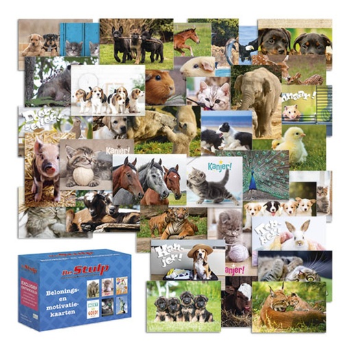 [1469451] Carte de récompense De Stulp thème animaux assorti