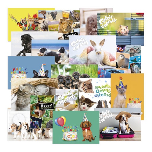 [1469453] Beloningsposter-kaart De Stulp  thema dieren A4 assorti