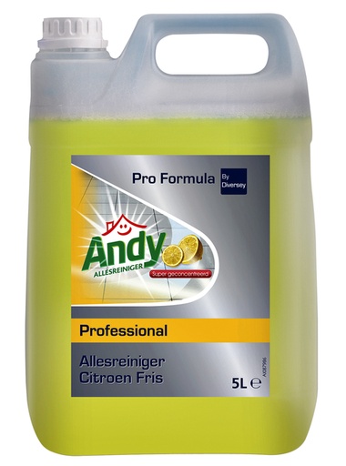 [891664] Nettoyant multi-usages Andy citron frais 5 litres