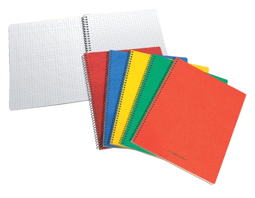 [011130] Schrift Aurora 80x135mm ruit 5x5mm 200 pagina's 60gr assorti